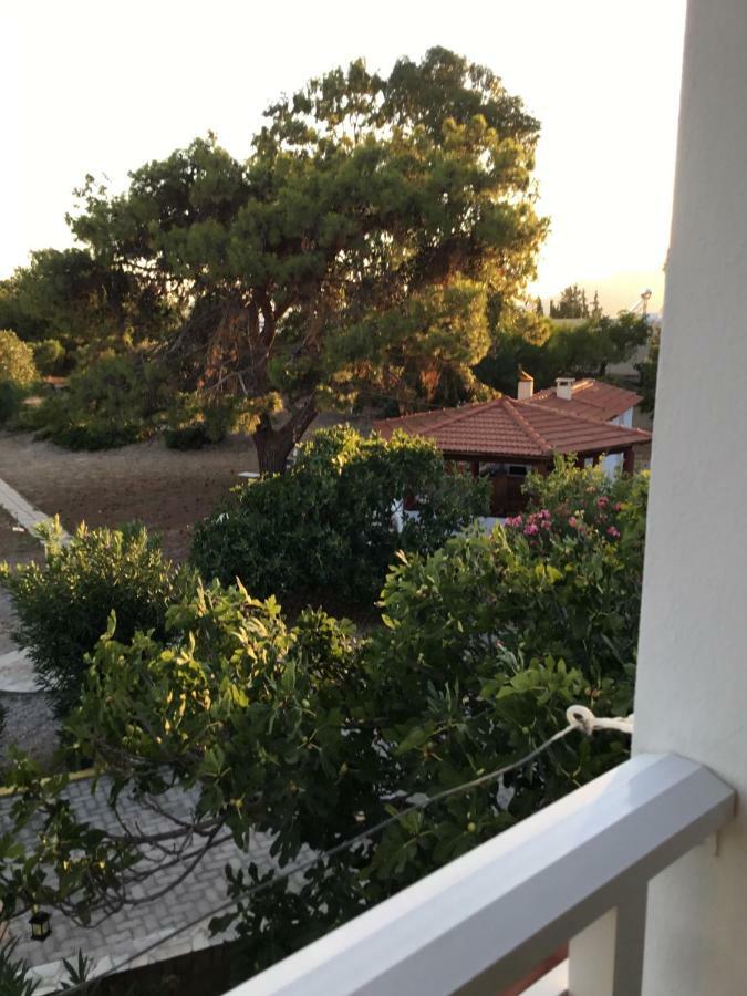 Villa Eirini Πεύκος Εξωτερικό φωτογραφία